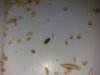 20180930_220138.jpg