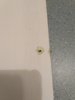 IMG_20181001_004240.jpg