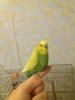 20181020_222901.jpg