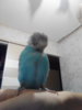 IMG_20181101_191654.jpg