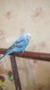 IMG-20181104-WA0009.jpg