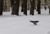 DSC_0030.jpg