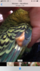FD1CEAA1-511D-459E-9A98-389E3664409C.png