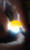 20181209_123812.jpg