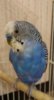 IMG_20181217_160147.jpg