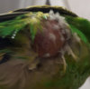 20181217_145324.jpg