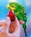 Клубничка