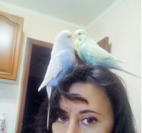 Ранья