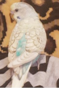 Анна_Щ