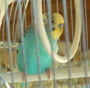 avidamilford