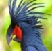 MapuHKa