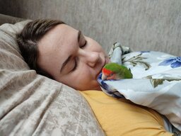 Валерия Борчина