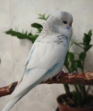 Влюблённая в жизнь