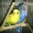 anny_k_eva