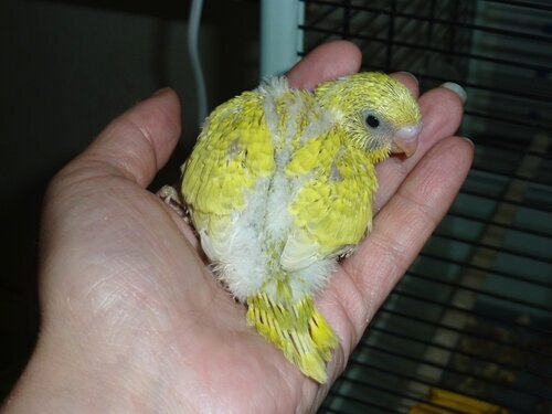 [​IMG]