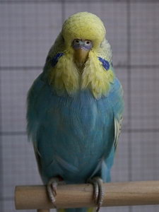 Участник №48 фото